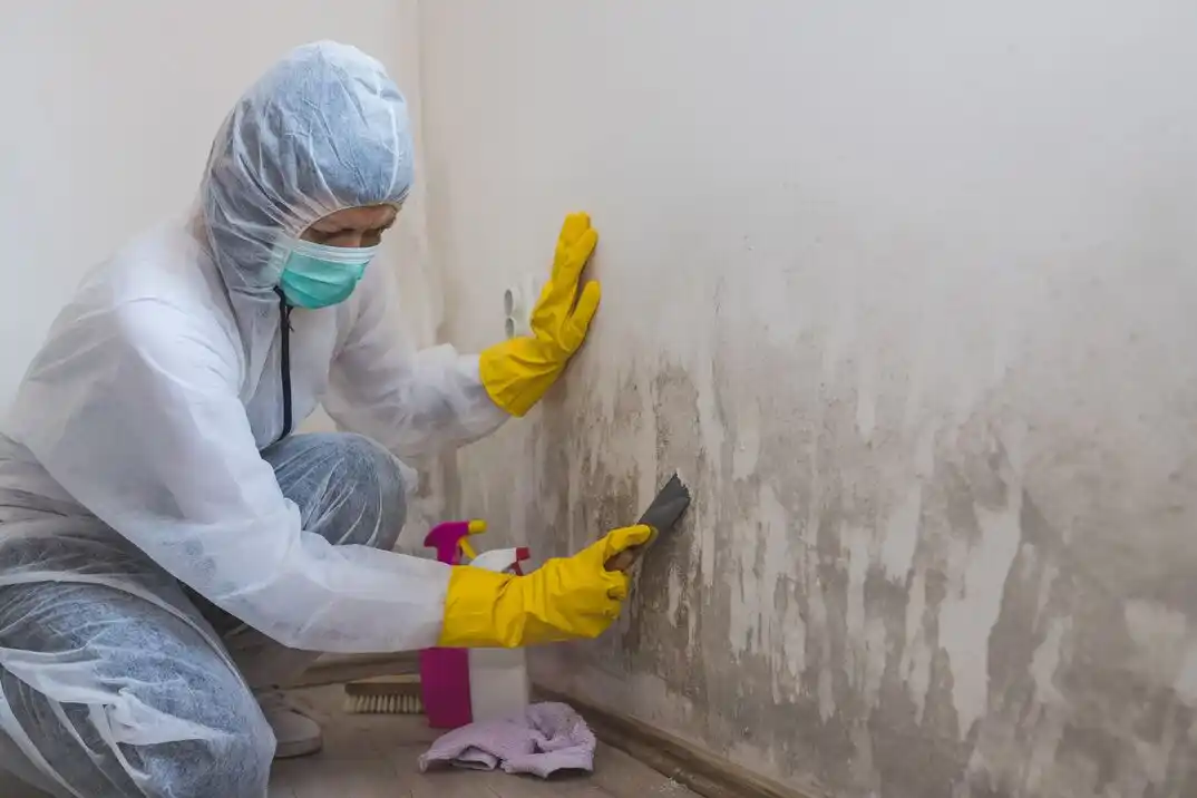 water damage restoration service Sunrise Manor